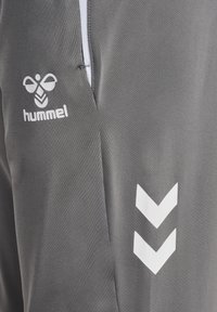 Pantalon de sport gris avec des accents blancs, arborant un logo sur la gauche et un motif en chevron sur le côté. Fait d'un tissu lisse et léger.