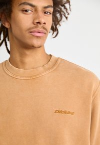 Dickies PLENTYWOOD  - Camisola - brown duck