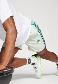 adidas Sportswear AEROREADY ESSENTIALS CHELSEA 3-STRIPES - Sportske kratke hlače - linen green