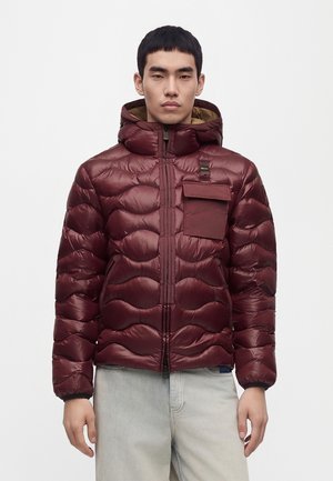 Blauer, BRYANT - Зимно яке - brown mahagony