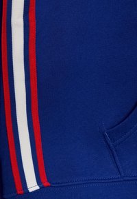 Polo Ralph Lauren HOOD - Mikina na zip - heritage royal