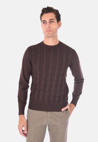 Maglione marrone a maglia con motivi a treccia, collo rotondo e polsini a coste. Indossato sopra pantaloni chiari.