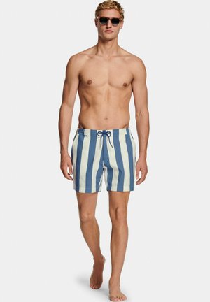 THE BIG STRIPES SWIMS - Short de bain - wakes