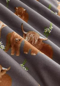 Next HAMISH THE HIGHLAND COW SHORT SLEEVE SET - Nattøj sæt - charcoal grey