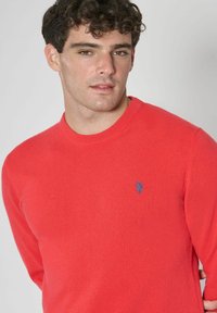 U.S. Polo Assn. GIROCOLLO  - Maglione - flame red