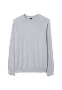 Sweat-shirt gris clair à manches longues en tissu doux, avec un col ras du cou et des poignets côtelés. Design simple, sans ornements ni motifs.