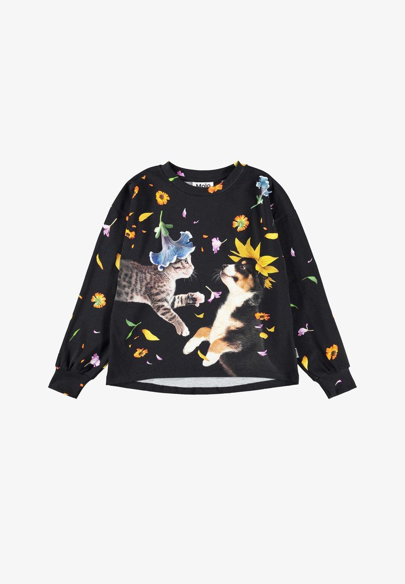 Must mustripsi mustripsi, millel on kitten sinise lillekübaraga ja kutsikas kollase lillekübaraga, ümbritsetud hajusate värvikirevate õienuppudega.