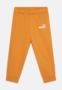 Puma MINICATS RAGLAN SET - Träningsset - ginger tea