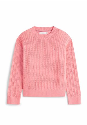 POINTELLE CABLE - Strickpullover - tropical blush