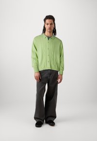 Cardigan a maglia di colore verde chiaro con motivo a trecce, design con colletto e bottoni frontali, abbinato a pantaloni larghi grigi scuri e scarpe nere.