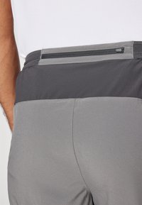 The North Face SUNRISER PANT - Friluftsbukser - smoked pearl/asphalt grey