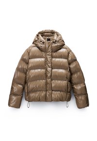 GLANE - Winter jacket - fallen rock