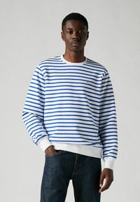 Gestreepte sweatshirt in wit en blauw, met een ronde halslijn, ribgebreide manchetten en zoom, en een klein logo op de borst. Getextureerde stof.