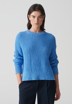 Blauer Strickpullover mit einem strukturierten Muster, Rundhalsausschnitt und lockerer Passform. Gerippte Ärmelbündchen und Saum sorgen für Struktur. Kombiniert mit dunklen Hosen.