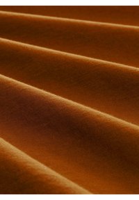 Tkanina v rziové barvě s hladkým povrchem, vykazující horizontální záhyby a jemně rovnoměrný vzhled. Lehká, vhodná pro různé použití.