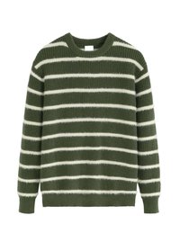 Pull vert rayé avec des rayures horizontales blanches, texture tricotée, col rond et bords côtes aux poignets et à l'ourlet. Coupe décontractée et confortable.