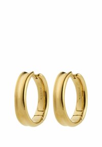 KAYDEN - Ohrringe - gold-coloured