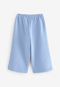 Shorts bleu clair en tissu doux, dotés d'une taille élastique, de jambes larges et d'une texture lisse sans motifs ni accessoires.