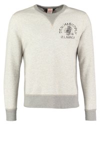 Light grey sweatshirt with long sleeves, ribbed cuffs, and hem. Features a crew neckline and a print logo on the chest. Soft texture.