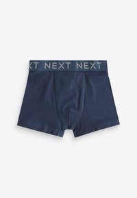 Next 10 PACK STANDARD - Shorty - blue grey