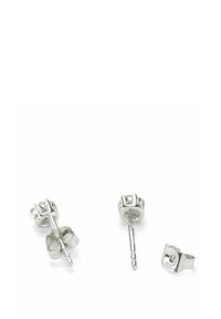 Hõbedased kõrvarõngad lillemotiiviga, millel on sile ja läikiv pind, postiga tagumine osa ning osaline kruvi tagumine osa stabiilsuse tagamiseks.