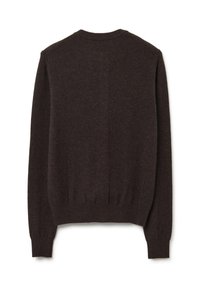 Maglione di lana marrone, colletto girocollo, maniche lunghe, polsini e orlo a coste, texture liscia, colore unito, design minimalista, senza pattern o dettagli.