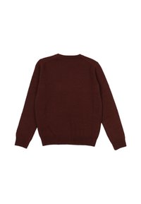 Maglione marrone, tessuto a maglia, scollatura rotonda, maniche lunghe, polsini e orlo a coste, texture liscia, colore uniforme, senza motivi visibili.