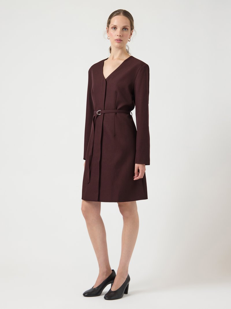 Γυναίκα που φορά ένα μακρυμάνικο φόρεμα μήκους μέχρι το γόνατο σε σκούρο καφέ χρώμα με μια ζώνη στο ίδιο χρώμα και μαύρα παπούτσια με ψηλά τακούνια, στέκεται μπροστά σε λευκό φόντο.