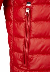 Hechter Paris - Kurtka zimowa