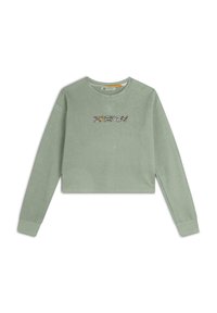 Freddy CROPPED CON LOGO - Felpa - desert sage