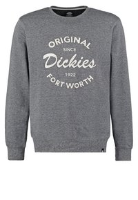 Felpa grigia realizzata in tessuto morbido, con scollo rotondo e maniche lunghe. Sul davanti c'è una scritta bianca in grassetto: "Originale dal 1922 Dickies Fort Worth."