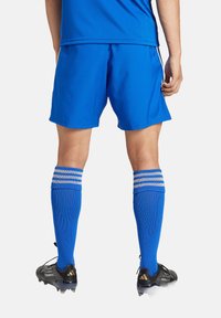 adidas Performance FUSSBALL - TEAM - TASTIGO - Kurze Sporthose - blau