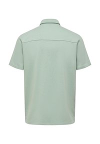 Kurzarm-Poloshirt in Hellgrün, aus strukturiertem Stoff, mit Kragen und dezentem Rückenpasse-Nahtdetail.