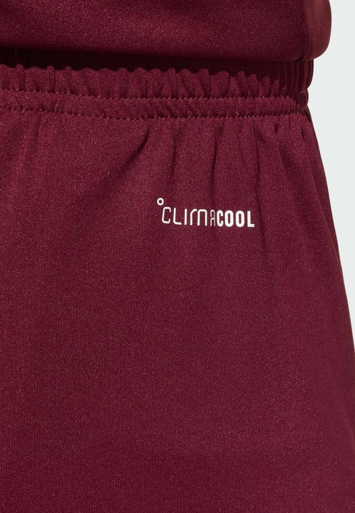 adidas PERFORMANCE ENTRADA26 SHORTS KIDS UNISEX - Pantalón corto de deporte - team maroon white — photo 5