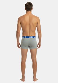 Graue Boxershorts mit einem blauen elastischen Bund, auf dem das Logo "MR UKKO" zu sehen ist, von hinten an einem nackten Modell betrachtet.