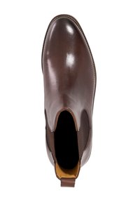 Brown leather ankle boot with elastic side panels, pointed toe, smooth texture, and a contrasting inner lining. Designed for slip-on ease.