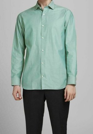 Man wearing a long-sleeve light green buttoned shirt with a collar and black pants, standing against a plain background.