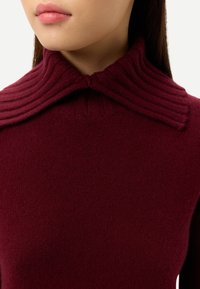 Gros plan d'une personne portant un pull en maille bordeaux à col roulé côtelé avec une peau lisse et claire visible sur le bas du visage et le cou.