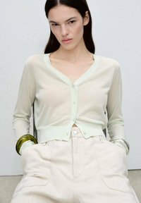 Ljust grön, genomskinlig cardigan med V-ringning, knappstängning och långa ärmar, buren över krämfärgade, högmidjade byxor.