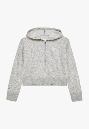CORE FULLZIP - Sweat zippé - grey