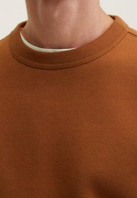 Hnědý sweatshirt s kulatým výstřihem a jemnou texturou. Obsahuje ribbovanou linku u krku a má jednoduchý design. Materiál vypadá ležérně a pohodlně.