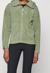 Groene fleecejas met volledige ritssluiting, hoge kraag en zonder capuchon. Zachte textuur en een ontspannen pasvorm, met een klein logo op de linkerborst.