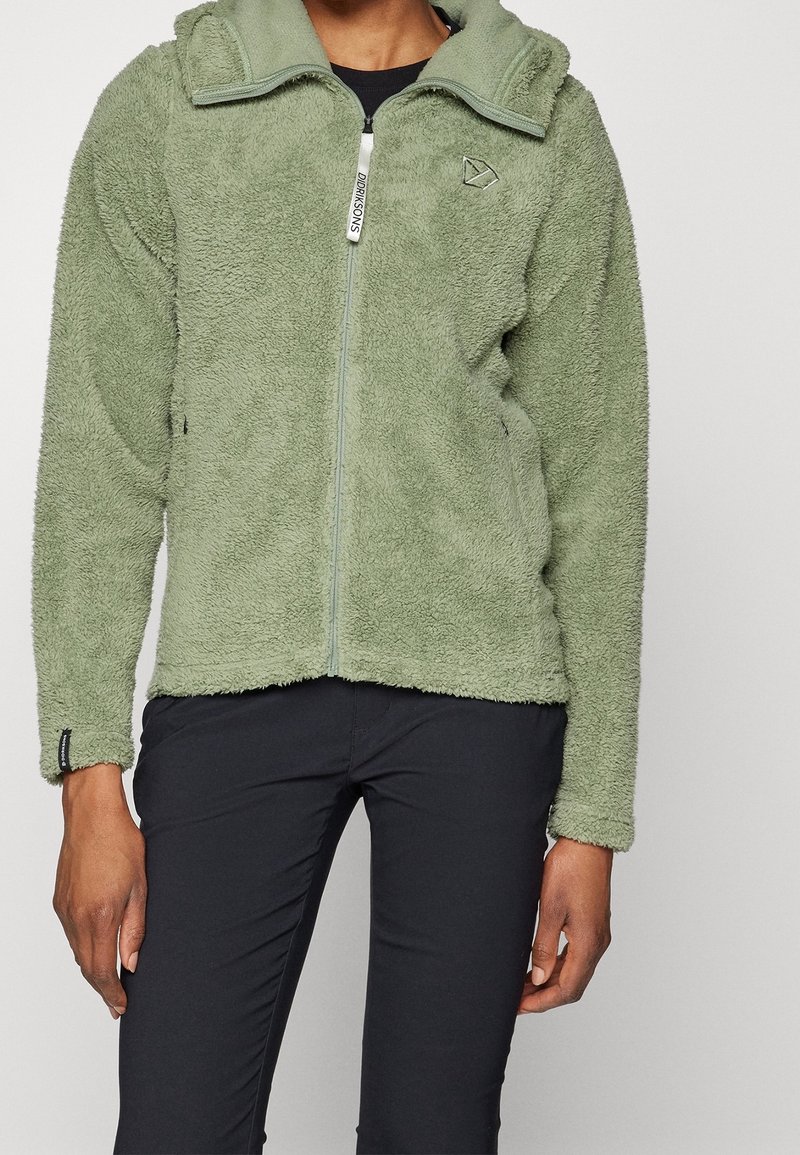 Groene fleecejas met volledige ritssluiting, hoge kraag en zonder capuchon. Zachte textuur en een ontspannen pasvorm, met een klein logo op de linkerborst.