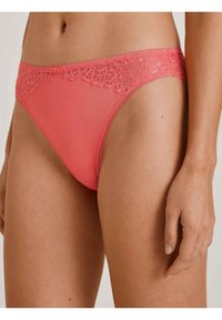 Calida SENSUAL SECRETS - Slip - porcelain rose