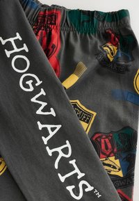 Sivé bavlnené nohavice so znakmi Rokfortu v červenej, modrej, zelenej a zlatej farbe, s nápisom "HOGWARTS" vytlačeným bielou farbou na ľavom stehne.
