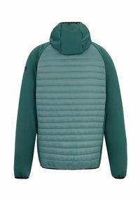 Veste matelassée verte avec dos matelassé, manches en tissu lisse et capuche attachée, vue de dos sur fond blanc.