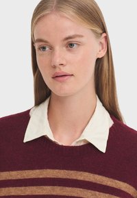 Maglione bordeaux con righe orizzontali marroni, texture lavorata a maglia, scollo rotondo, indossato sopra una camicia bianca con colletto.