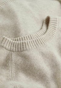 Maglione beige realizzato in tessuto morbido, caratterizzato da un colletto a girocollo a coste e dettagli di cucitura sottili, che mette in mostra una trama liscia e calda.
