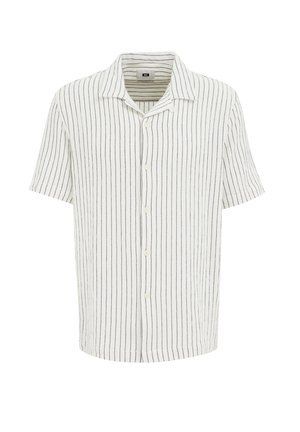 Baltas īsām piedurknēm pogājamais krekls ar tumši ziliem vertikāliem svītrām. Iekļauj piegriezumu ar atlocītu apkakli un brīvu piegriezumu ar faktūru.