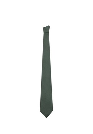 Una corbata lisa de color verde oscuro, estrecha y con el extremo puntiagudo, sobre un fondo blanco.